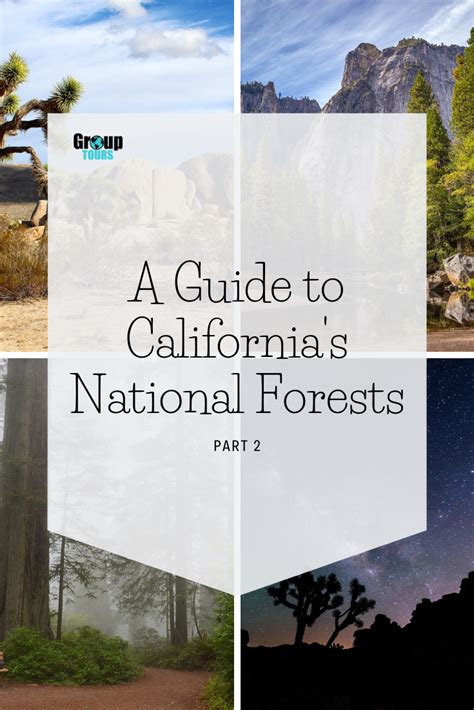 A Guide To Californias National Forests Part 2 Group Tours