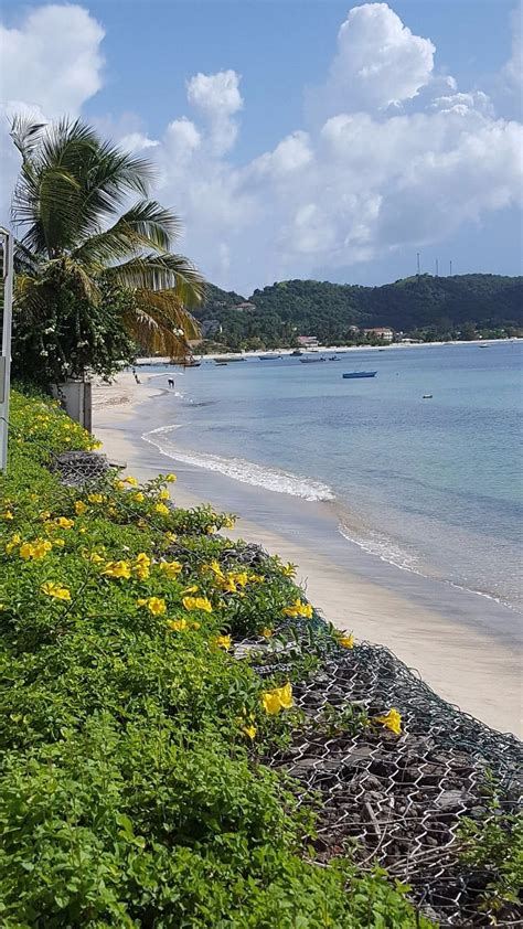 Grand Anse Beach Palace Hotel Prices And Reviews St Georges Grenada