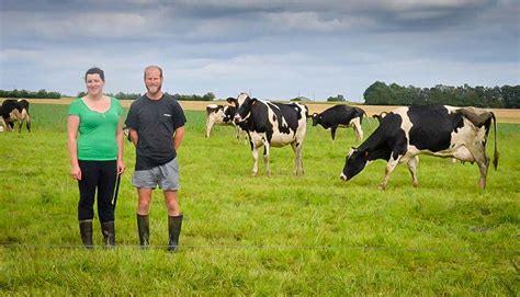 Lherbe De Juillet Assurée Grâce à La Pluie Journal Paysan Breton