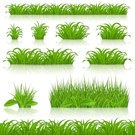 Ilustración de conjunto de hierba verde Vector Premium