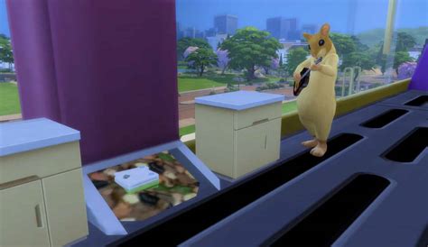Builder Creates A Life Sized Hamster Home In The Sims 4