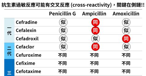 Beta Lactam Allergy Cross Reactivity Chart Fstormx