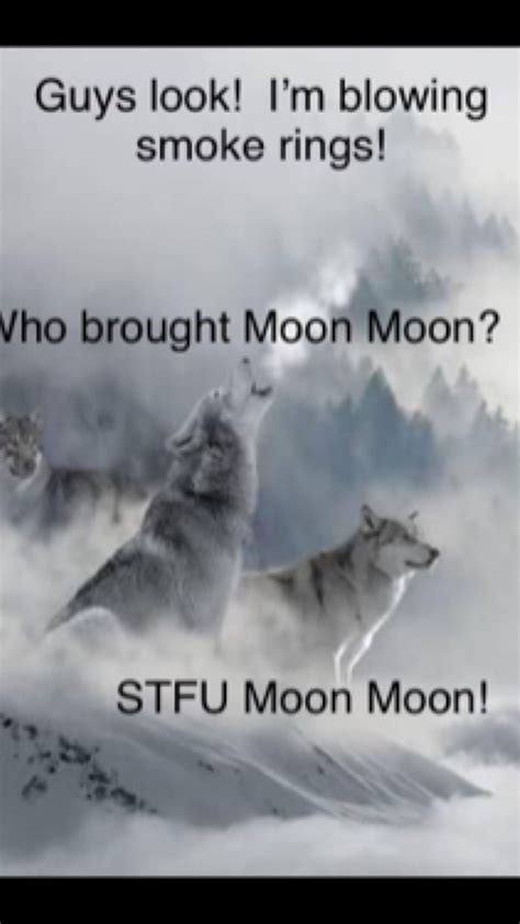 January's full wolf moon reaches peak illumination on thursday, january 28, at 2:18 p.m. Pin by Frances Biggerstaff on Funny wolf in 2020 (With images) | Moon moon memes, Funny dog ...
