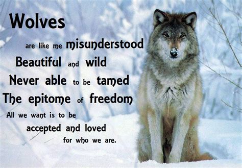 Cute Wolves Quotes Quotesgram