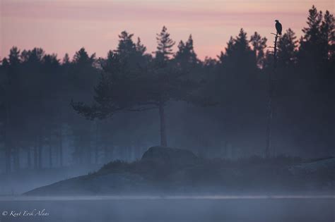 Nordic Nature Photo Contest 2015 Knut Erik AlnÆs Photography