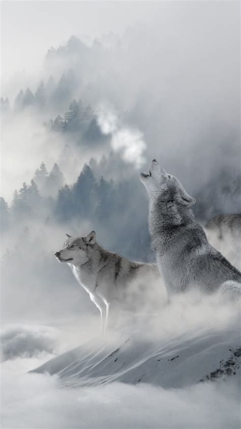 Wolf Wallpaper For Iphone 72 Images
