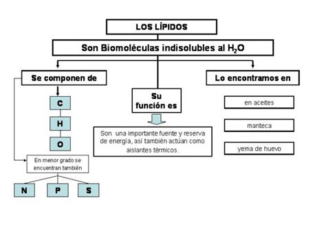 Cuadros Sinópticos Sobre Lípidos Clasificación De Los Lípidos Cuadro