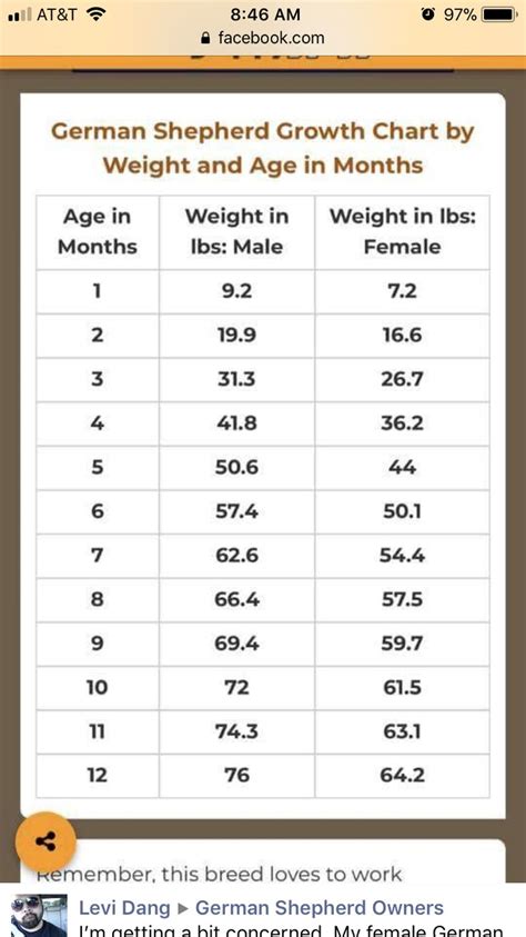 German Shepherd Age Weight Chart