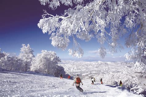 The Top 4 Ski Resorts In Nagano For The Ultimate Japan Winter Adventure