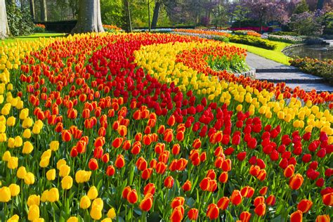 Best Famous Gardens To Visit