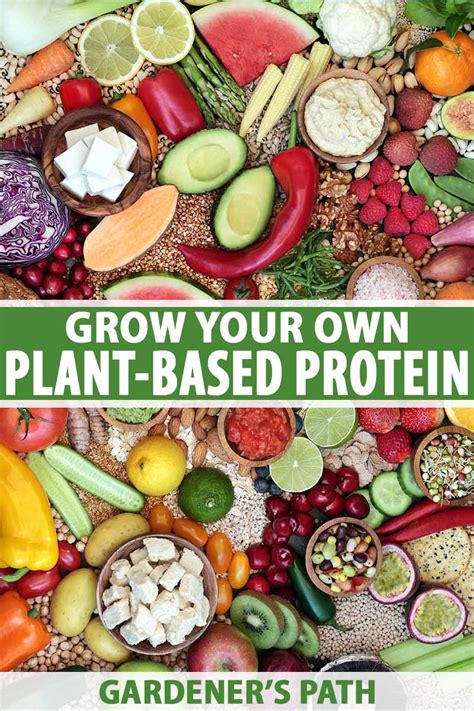 Grow Your Own Plant Based Protein Gardeners Path