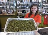 Pictures of Marijuana Stores In Oregon