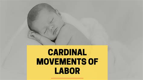 Cardinal Movements Of Labor What Are Steps