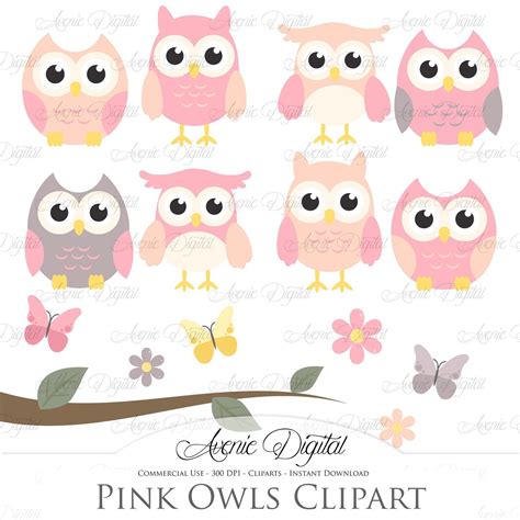 Pink Owl Clipart By Avenie Digital Pink Owl Owl Clip Art Baby Owls
