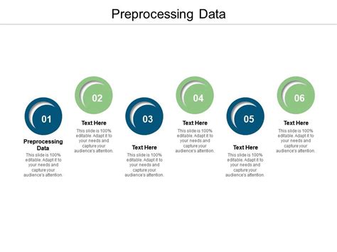 Preprocessing Data Ppt Powerpoint Presentation Infographics Layout Cpb