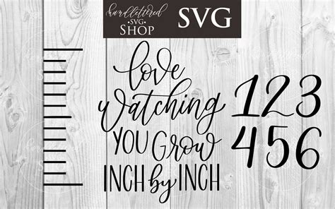 Cricut Svg Free Growth Chart Svg SVG Images Collections
