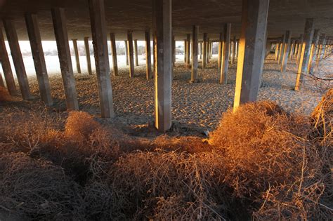 southern california town taken over by tumbleweeds— it s an invasion [video] new country 105 1
