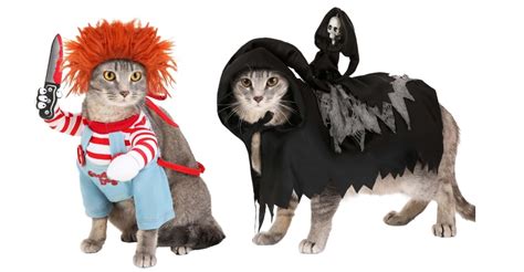 Pawsome Cat Costumes For A Purrfect Halloween Costume Guide