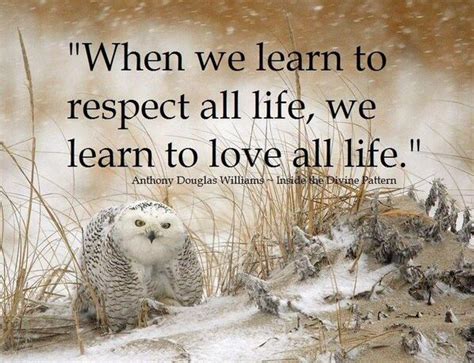When We Learn To Respect All Life We Le Anthony D Williams Respect