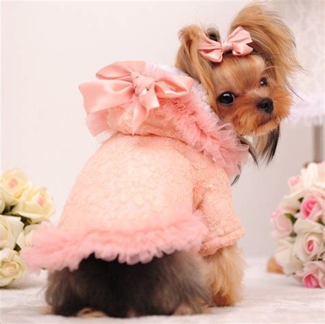 Best 25 Cute Dog Clothes Ideas On Pinterest Diy Clothes For Dogs