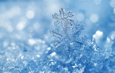 Wallpaper Winter Light Snow Snowflakes Ice Ice Christmas