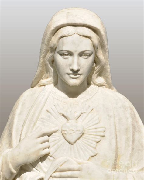 Immaculate Heart Of Mary Photograph By Josephine Cohn