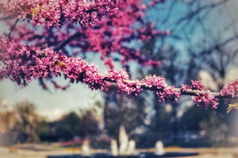 10 Greatest Spring Wallpaper Unsplash You Can Use It Free Of Charge