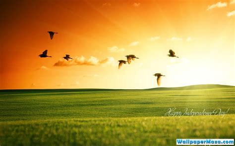 Free Download Bing Backgrounds Of The Day For Pinterest 1280x800 For Your Desktop Mobile