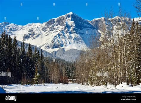 Snow Covered Rocky Mountains Near Brule Alberta Canada Stock Photo Alamy