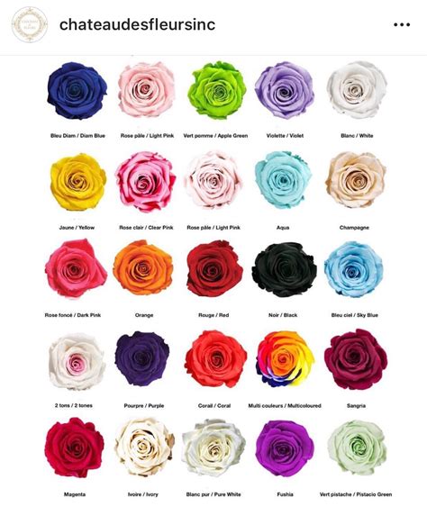 Rose Colors Meanings Chart