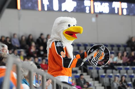 Echl On Twitter The Votes Are In The 2020 21 Echl Mascot Of The