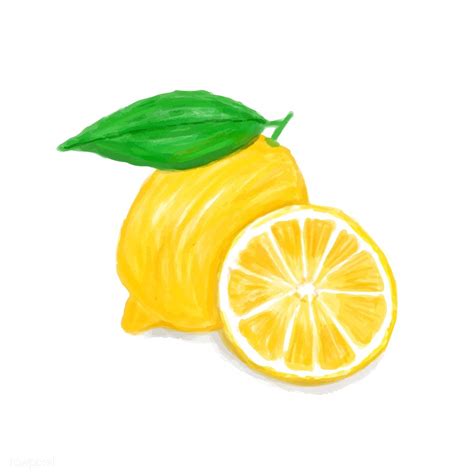 Hand Drawn Lemon Watercolor Style Free Image By Lemon