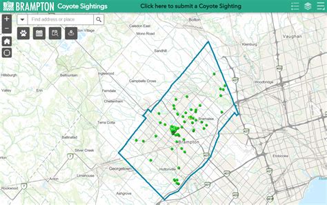 Brampton Launches Online Coyote Sighting Tool