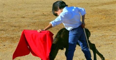 Toro Torero Y Afición Jugar Al Toro