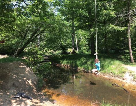 The Rope Swingers Secret Guide To The New Forest New Forest Escapes