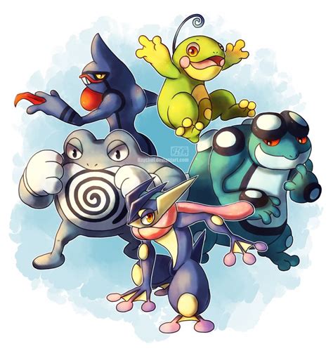 Frogtoad Pokemon Poliwrath Toxicroak Politoed Seismitoad