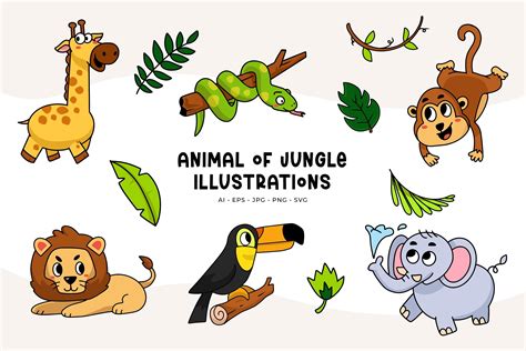 Animals Of Jungle Illustrations