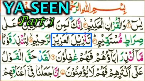 Lihat Surah E Yaseen Fast Recitation See Islamic Surah Ayah