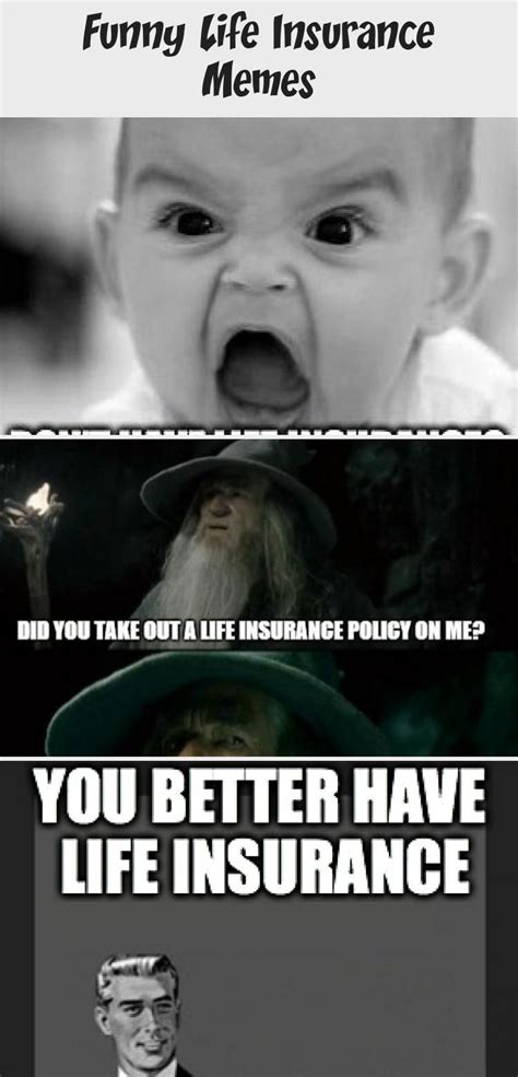 funny quotes about life insurance