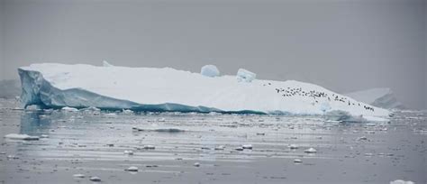 Antarcticas Ice Caps Melting Faster Than Previous Estimates World