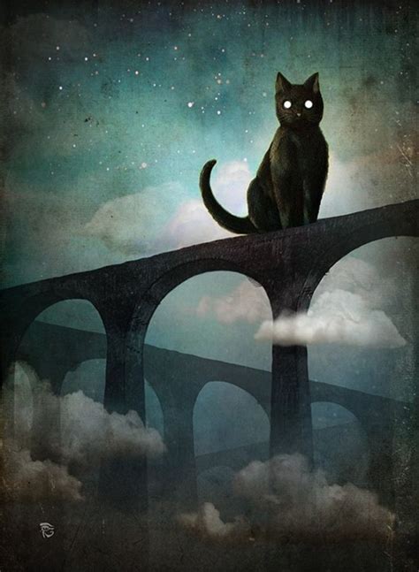 2e1e989b3b54af3279d15de034b95e2c Black Cats Black Cat Art It S A Cat Astrophe