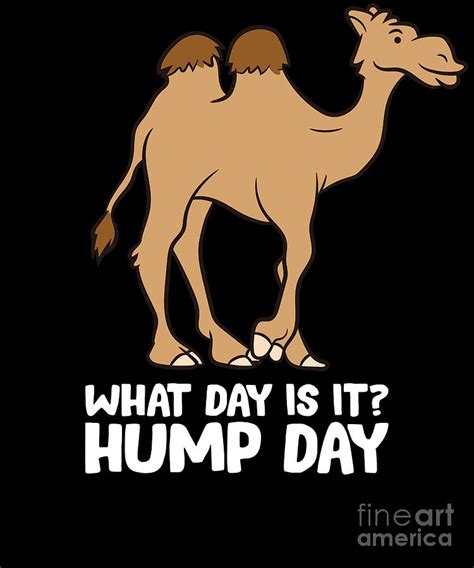 What Day Is It Hump Day Funny Camels Hump Day Digital Art By Eq Designs