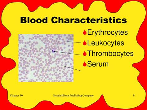 Ppt Chapter 10 Blood Powerpoint Presentation Free Download Id2760548