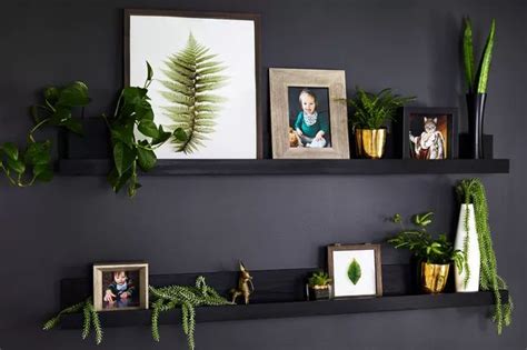 19 Picture Ledge Ideas To Shake Up The Way You Use Your Walls Picture