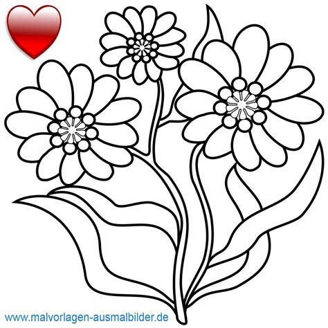 Malvorlage Blumen ornamente Frisch Malvorlagen Für Erwachsene
