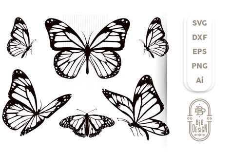 Butterfly Svg Bundle 6 Monarch Butterfly Svg Cut Files 238384