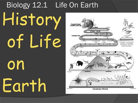 Ppt Biology 121 Life On Earth Powerpoint Presentation Free Download