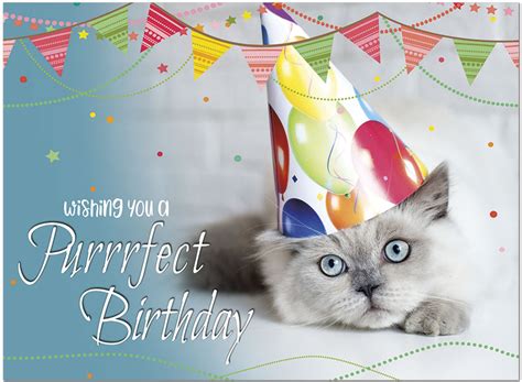 Purrfect Birthday Card Cat Theme Birthday Cards Posty Cards