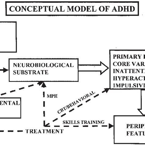 A Conceptual Model Of Attention Deficit Hyperactivity Disorder Adhd Download Scientific