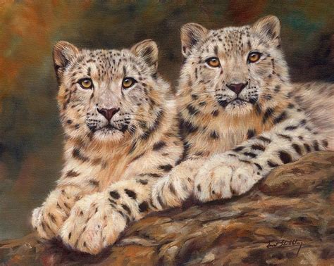 Snow Leopards 3 Painting By David Stribbling Fine Art America